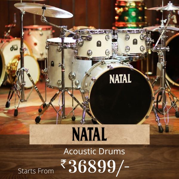 Natal arcadia drums