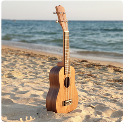 tanglewood ukulele
