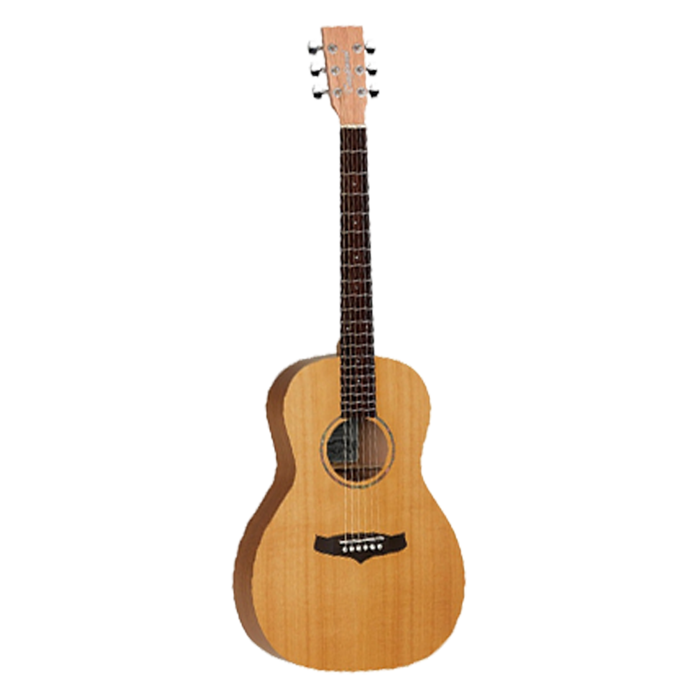 Tanglewood acoustic guitar deals strings