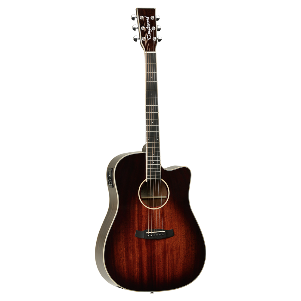 Tanglewood tw4e online