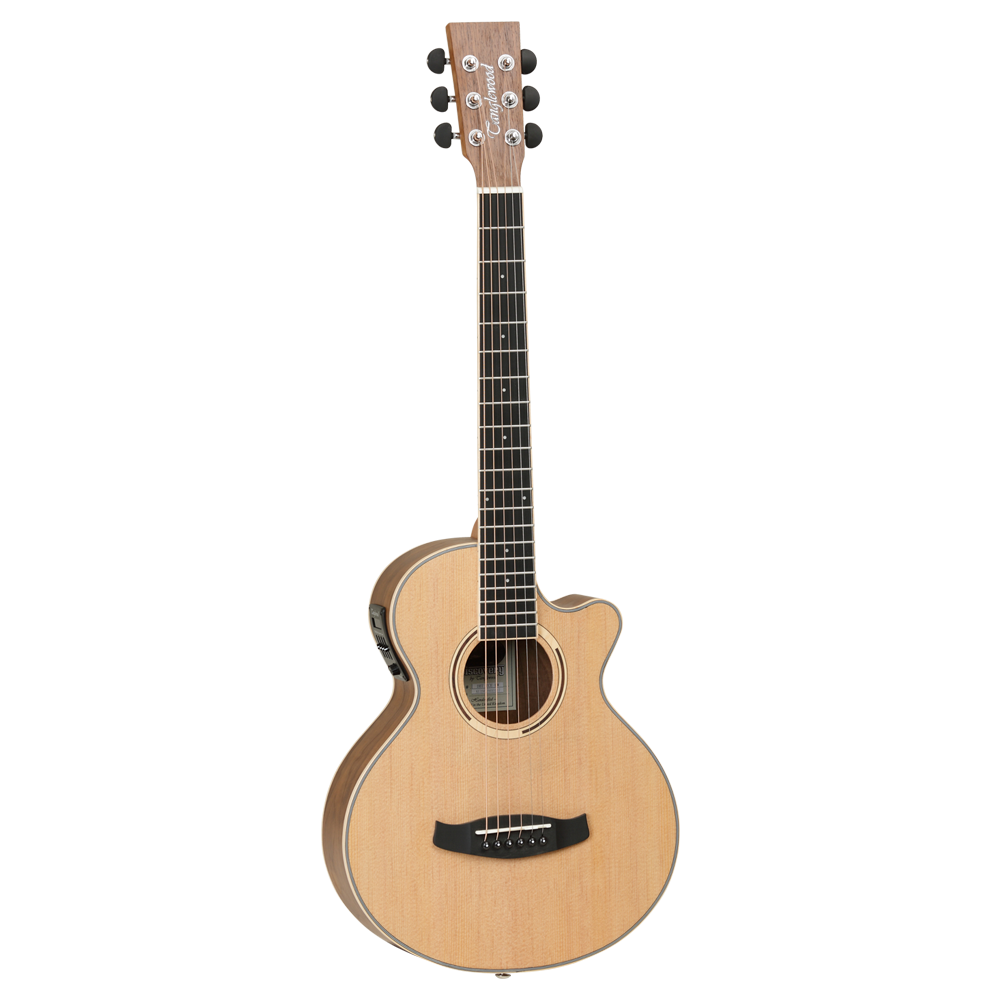 travel guitar