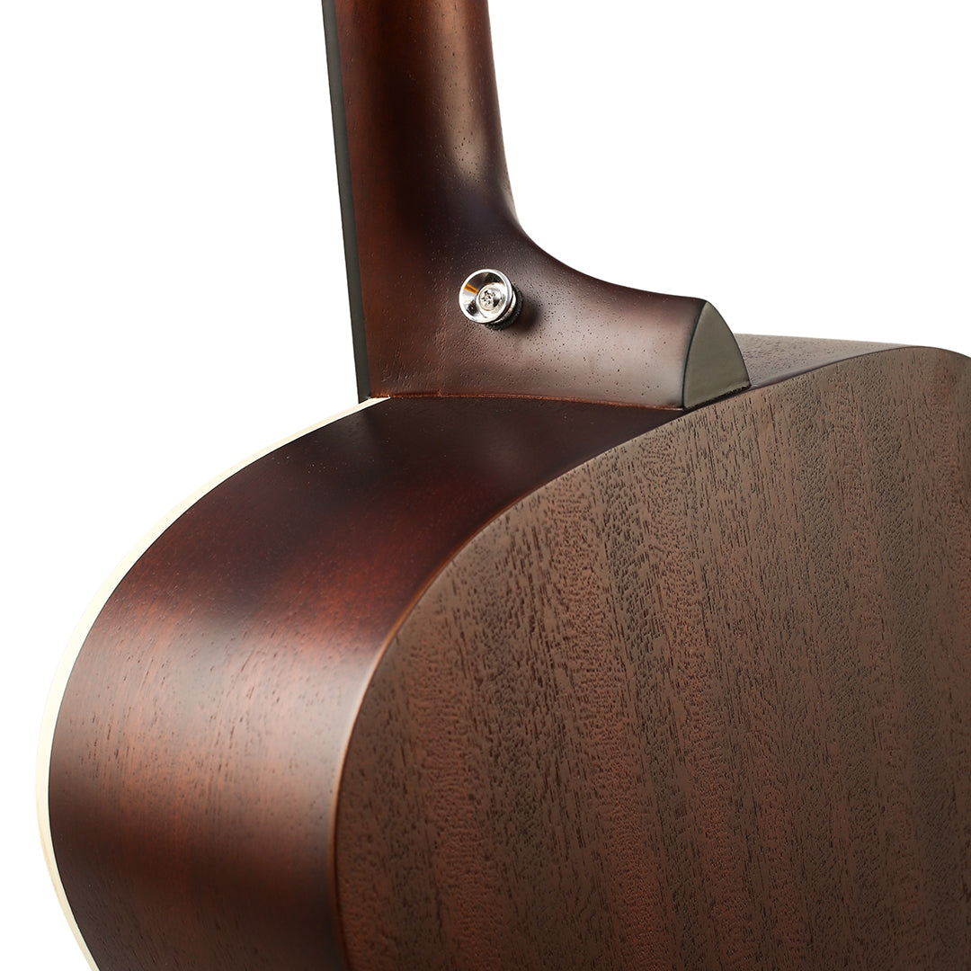 Tanglewood Lotus Series TLF-3  – Special Edition Orchestra Acoustic Guitar