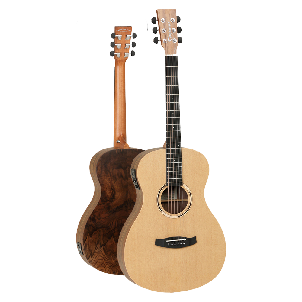 Tanglewood DBT PE HR Discovery Exotic Parlour Electro Acoustic Guitar with Fishman Pickup, Spruce Top