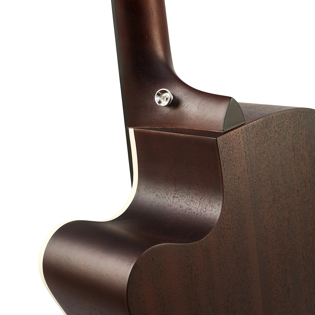 Tanglewood Lotus Series TLF-4C – Special Edition Super Folk Cutaway Acoustic Guitar