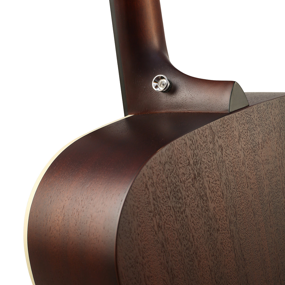 Tanglewood Lotus Series TLF-5 – Special Edition Dreadnaught Acoustic Guitar