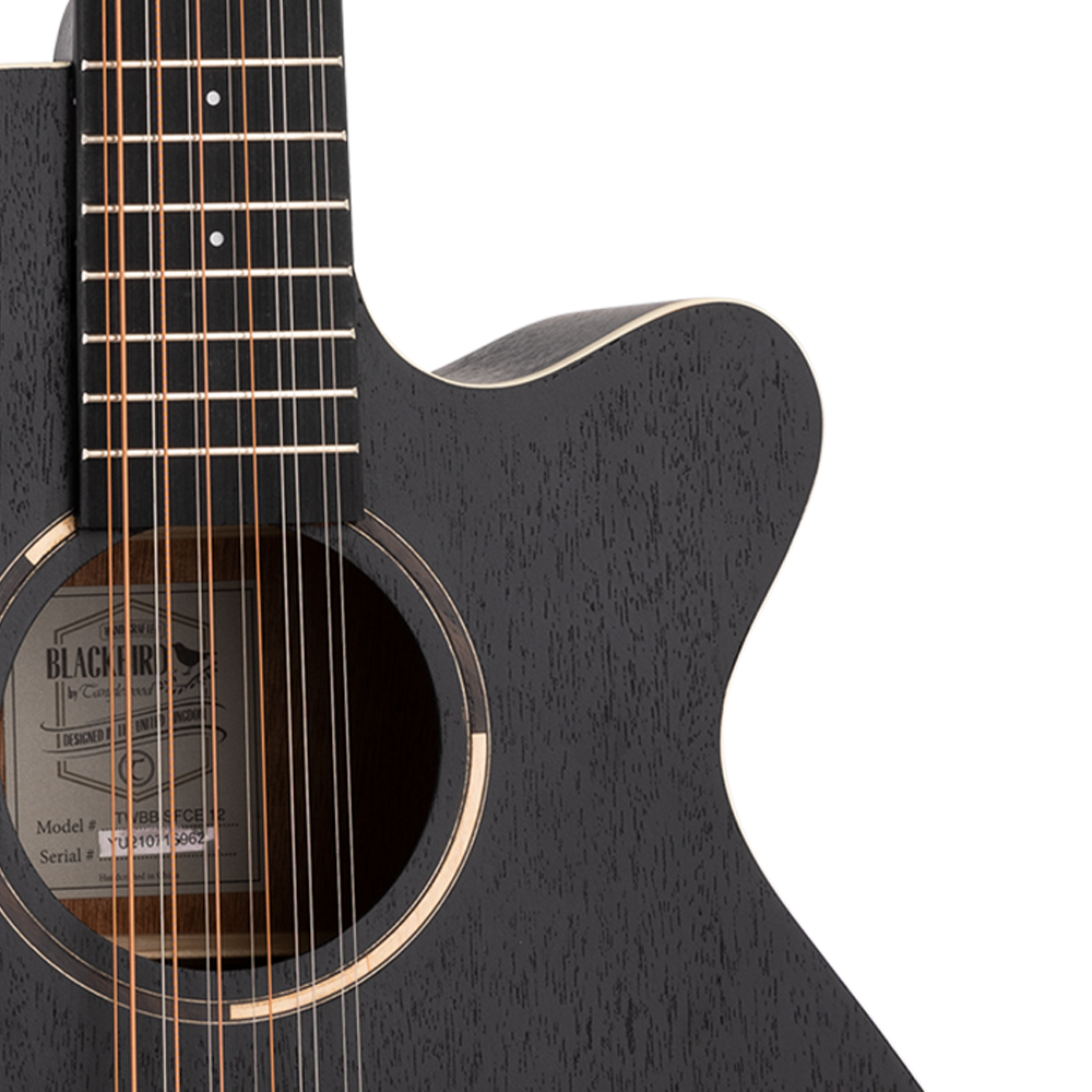 Tanglewood TWBB-SFCE 12 Blackbird 12-String Cutaway with Electronics