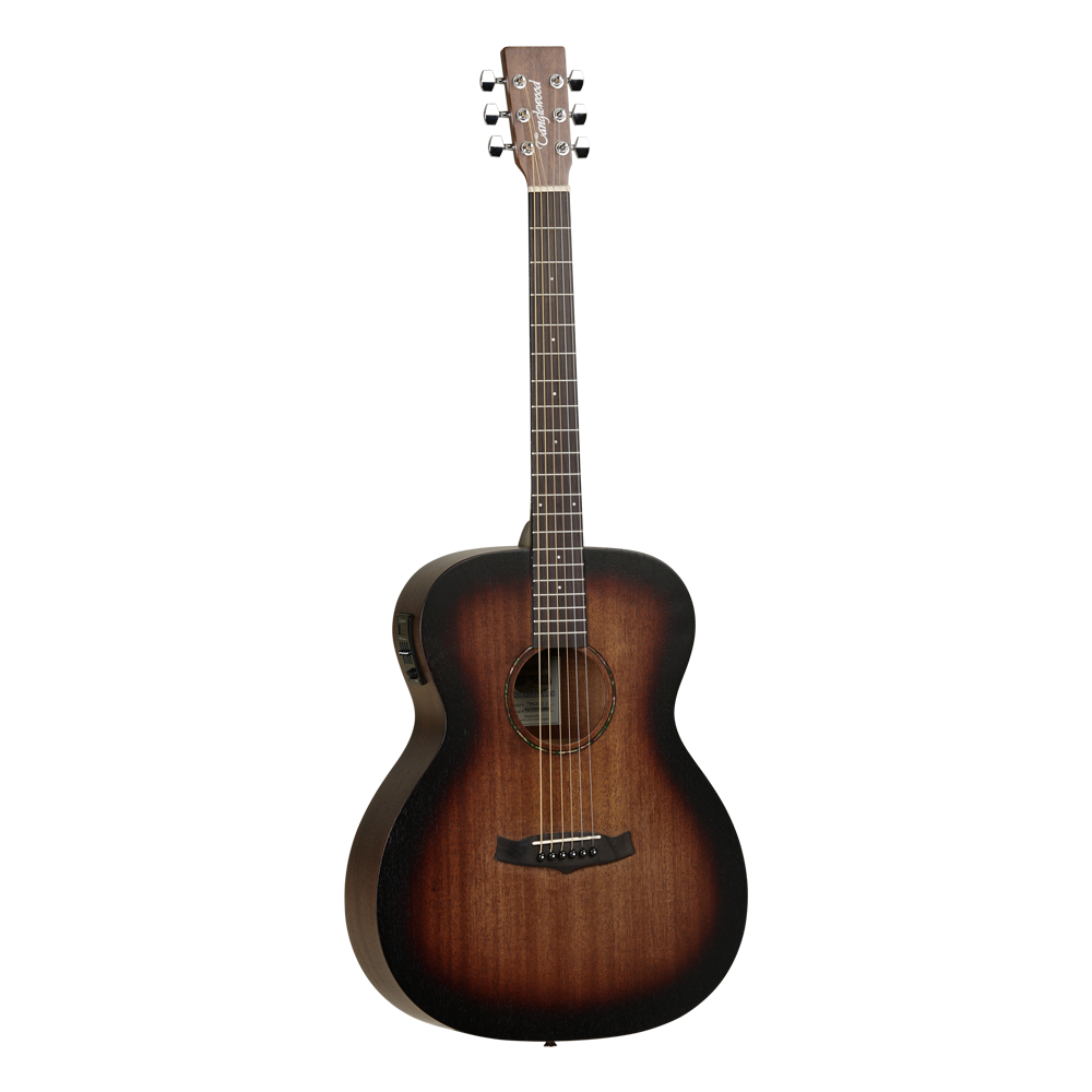 SEMI ACOUSTIC  GUITAR