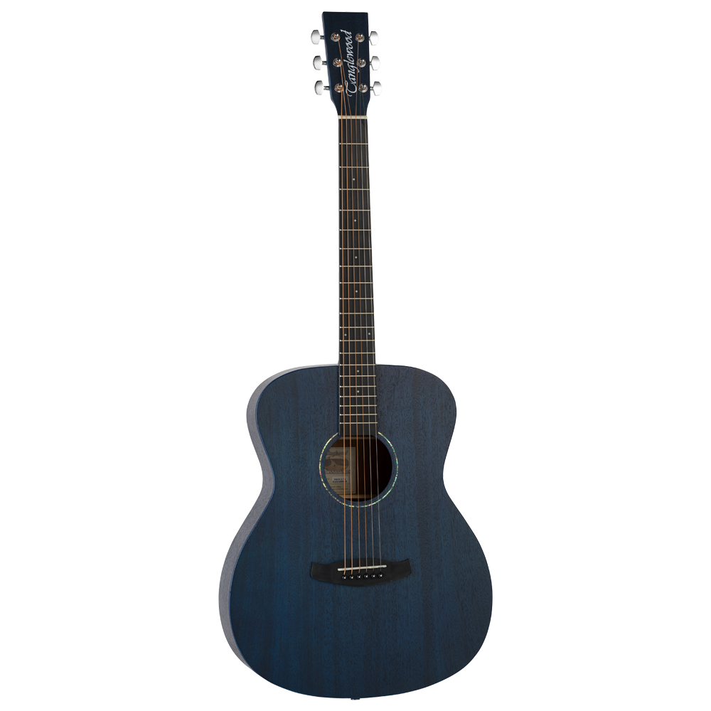 acoustic guitar