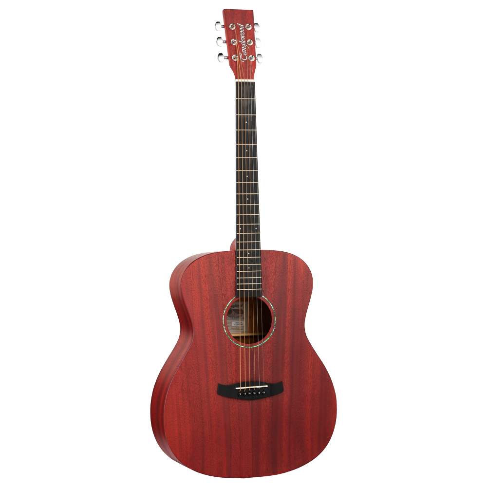 ACOUSTIC GUITAR 