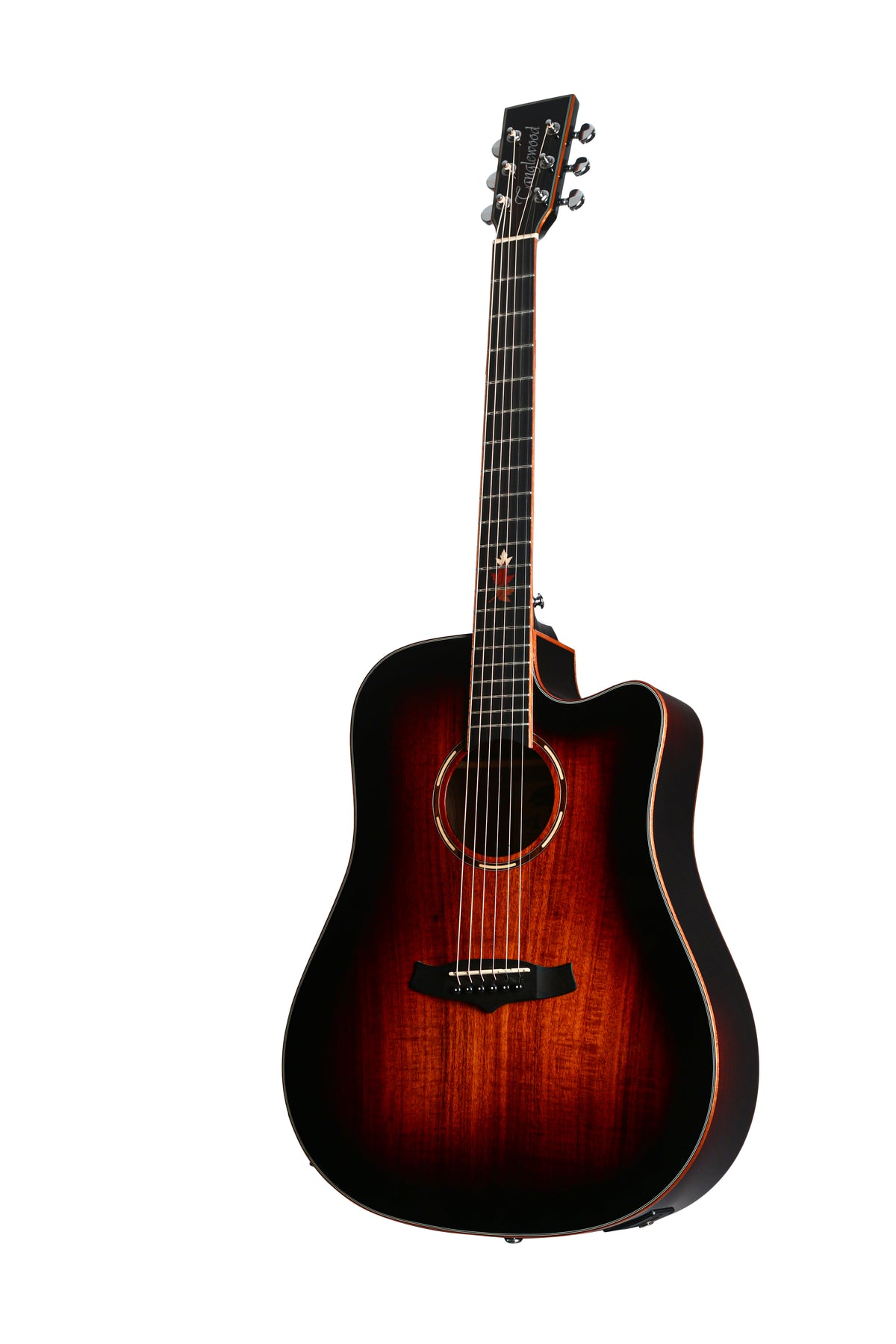 Tanglewood TWX5CEK Winterleaf Exotic Dreadnought Cutaway Semi Acoustic,Top - Solid Mahogany, Koa Veneer,Back & Sides - Koa,Fishman Eq with Bag.