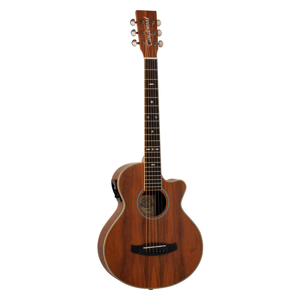 Tanglewood TRU2CEAW Solid Top Electro Acoustic Guitar
