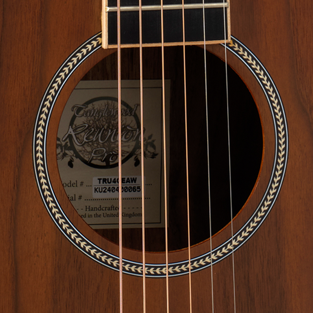 Tanglewood TRU4CEAW Reunion Pro Series Super Folk Acoustic Guitar