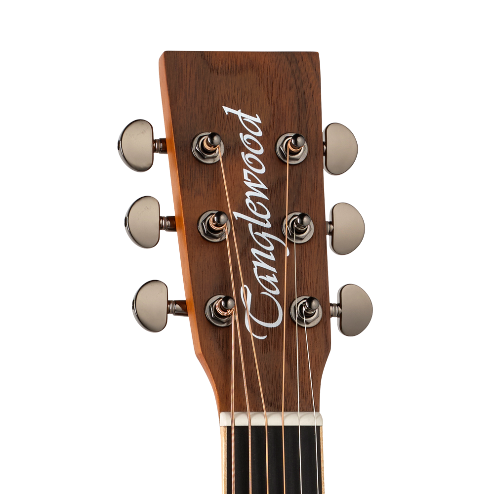 Tanglewood TRU4CEAW Reunion Pro Series Super Folk Acoustic Guitar