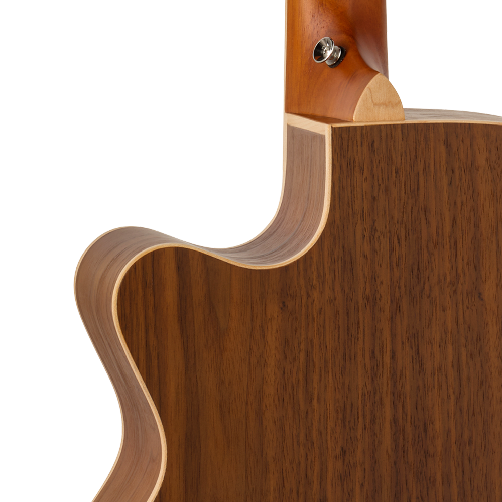 Tanglewood TRU4CEAW Reunion Pro Series Super Folk Acoustic Guitar