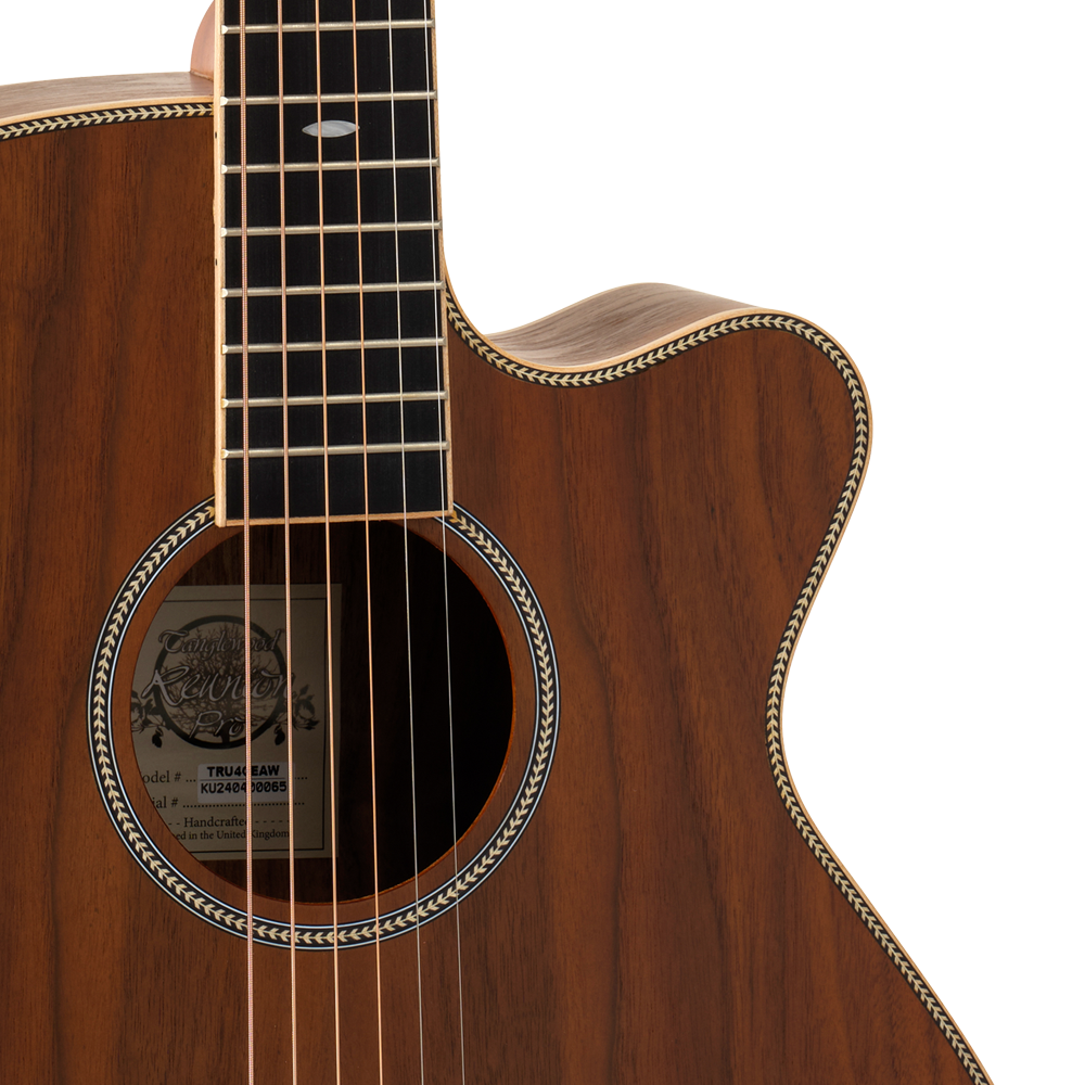 Tanglewood TRU4CEAW Reunion Pro Series Super Folk Acoustic Guitar