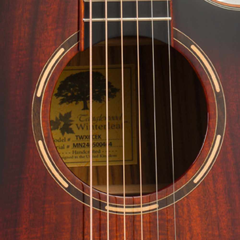 Tanglewood TWX6CEK Winterleaf Venetian Cutaway Electro Acoustic Guitar
