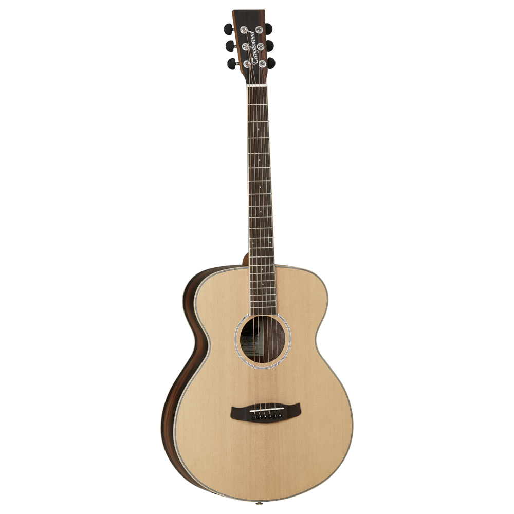 Tanglewood Discovery Exotic TW DBT F EB Acoustic Guitar, Folk, Natural Open Pore Satin Finish, Ebony Back, Free Padded Bag