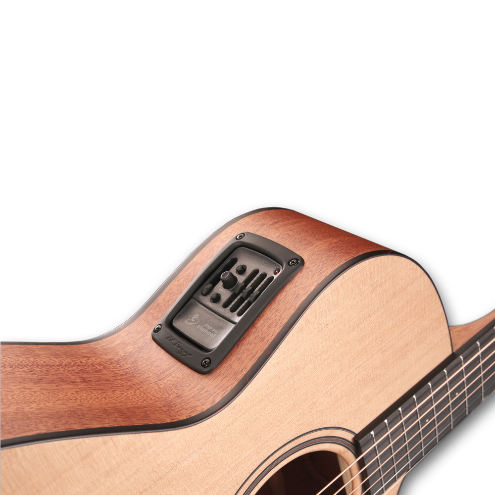 Furch Blue Master's Choice Electro-Acoustic Guitar, Western Red Cedar