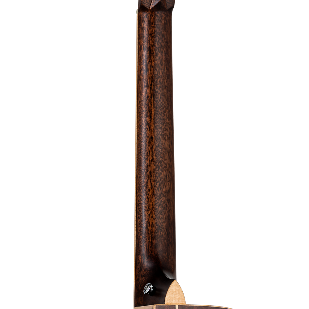 Tanglewood TW45 R VSE