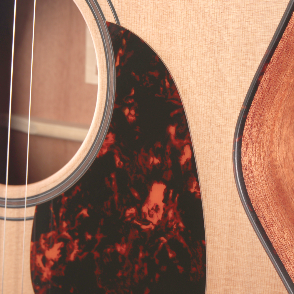 Furch Blue Master's Choice Electro-Acoustic Guitar, Western Red Cedar