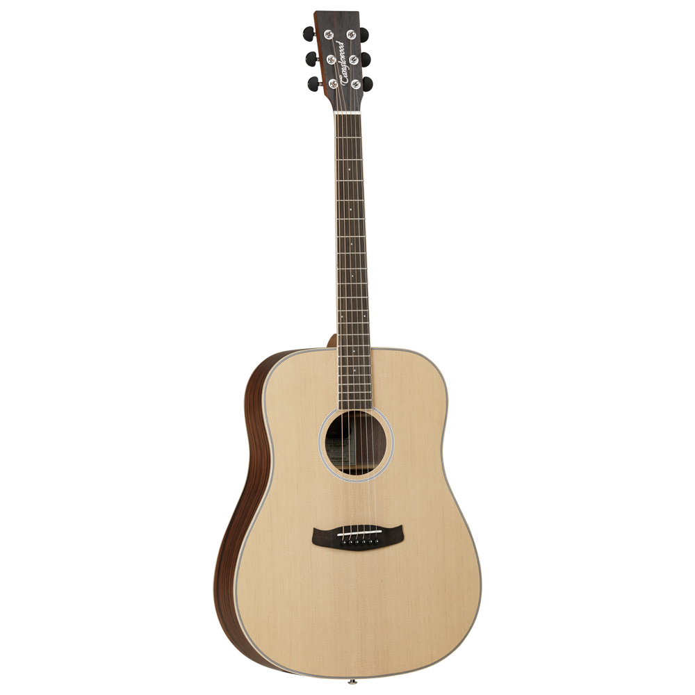 ebony wood dreadnought guitar