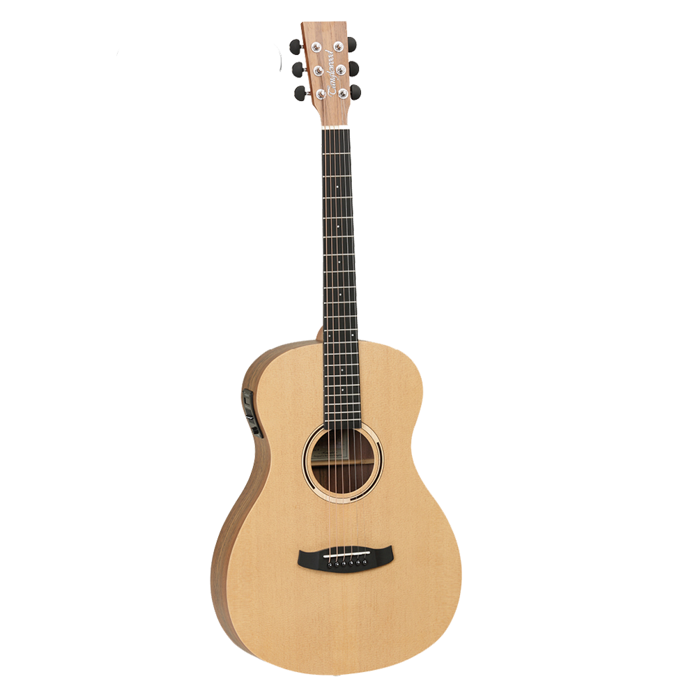 SEMI ACOUSTIC GUITAR 