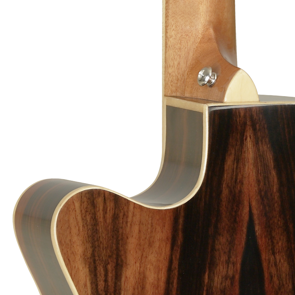 semi acoustic guitar 