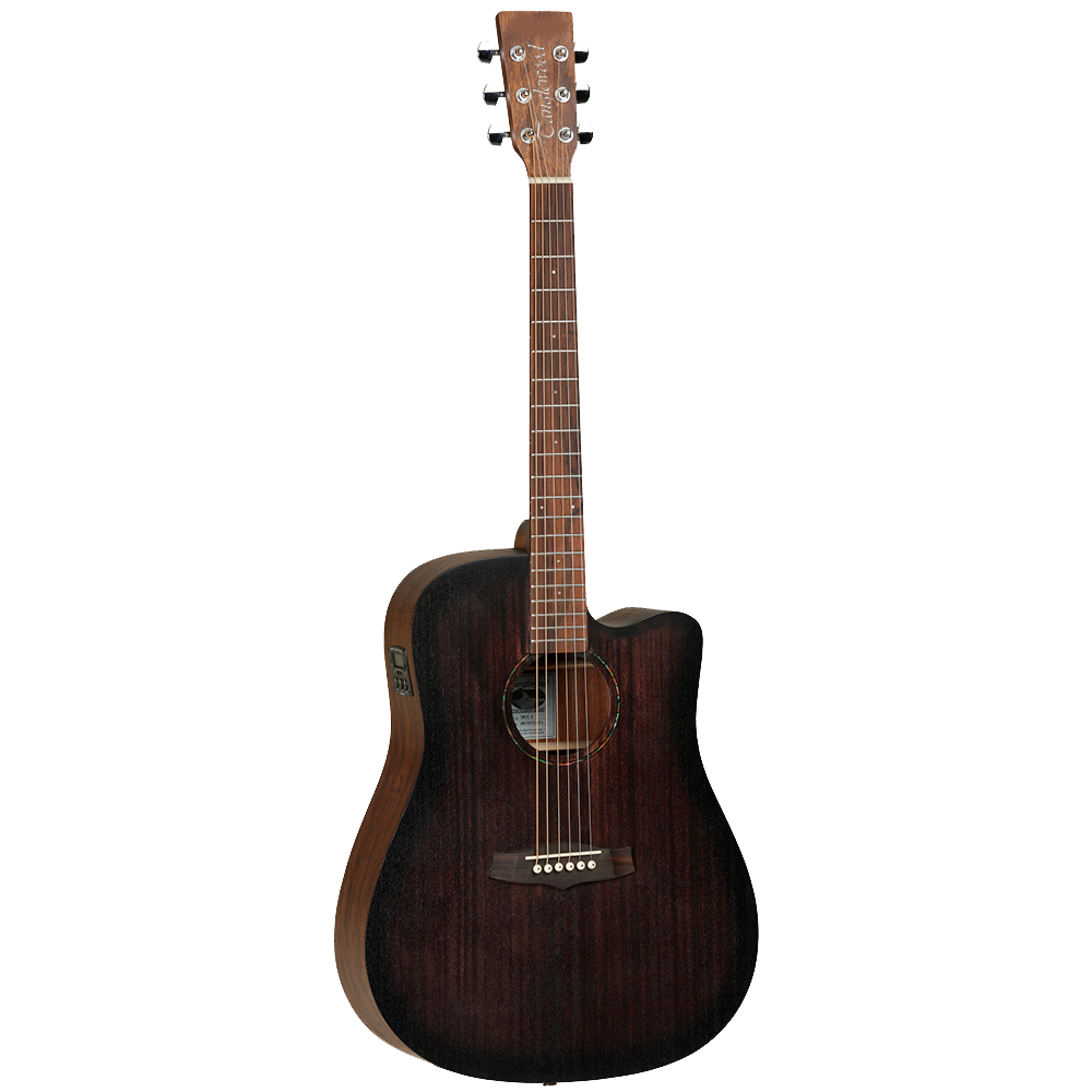 semi acoustic guitar