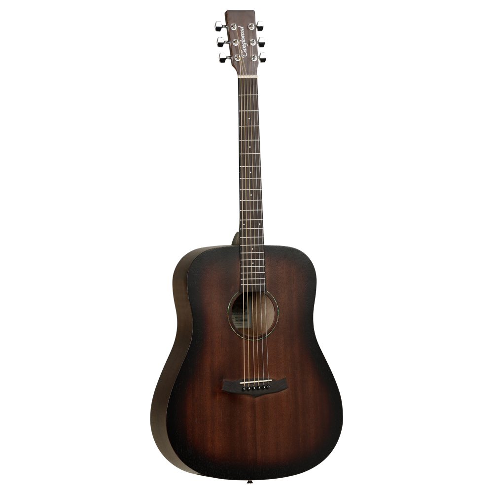 ACOUSTIC GUITAR 