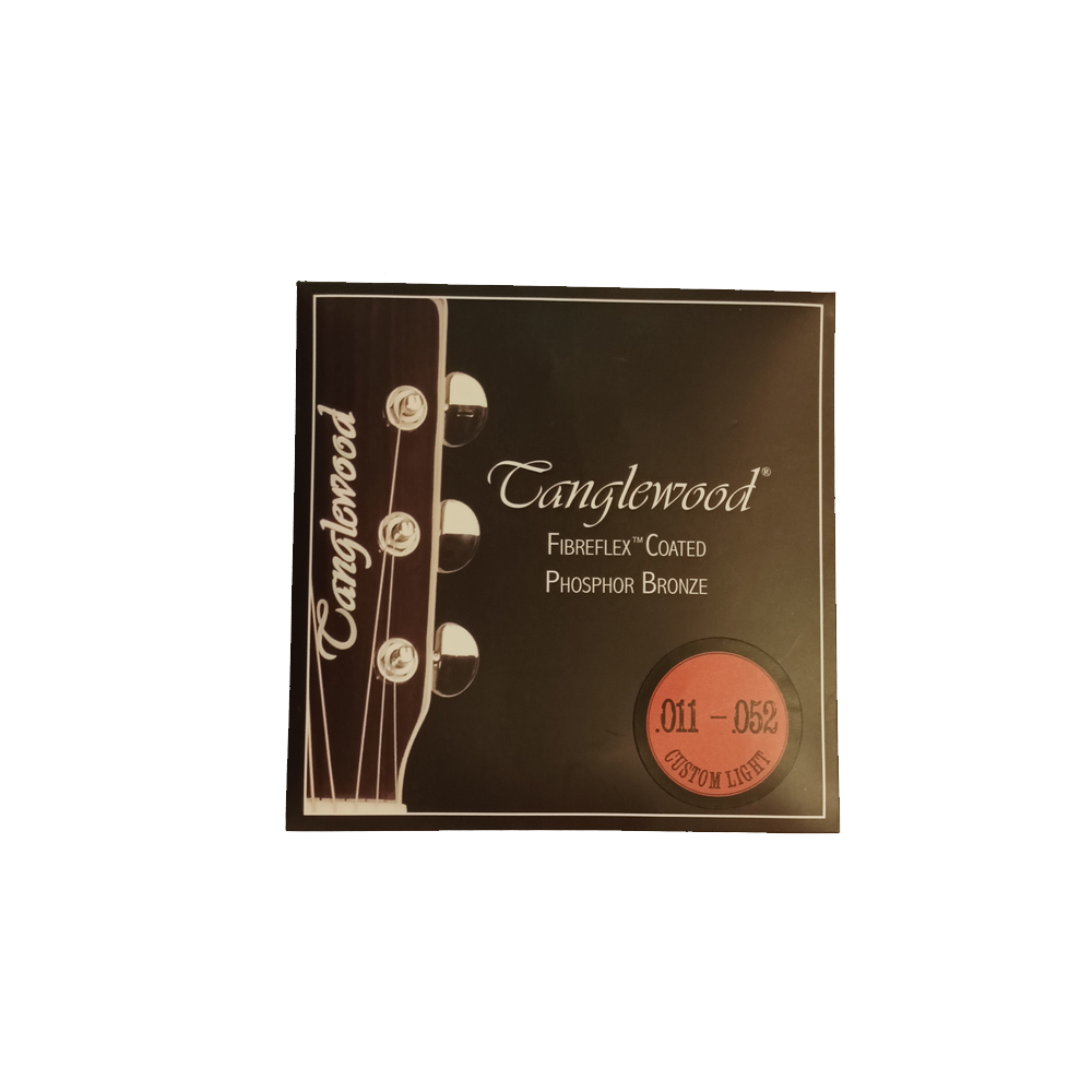 ACOUSTIC GUITAR STRINGS 