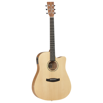 Semi Acoustic Guitar